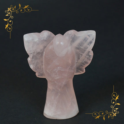 Collection image for: Angel