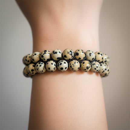 Collection image for: DALMANTION