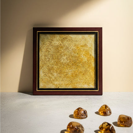 Collection image for: OPPORTUNITY