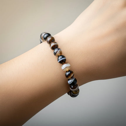 Collection image for: SULEMANI