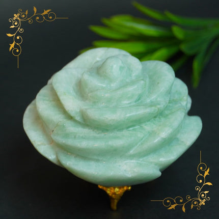 Collection image for: Stone Flower