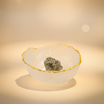 Dhan Laxmi Money Bowl Combo