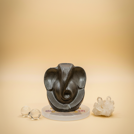 Dhan Laxmi Ganesha Plate Combo