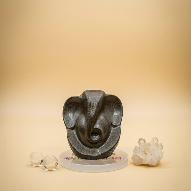 Dhan Laxmi Ganesha Plate Combo