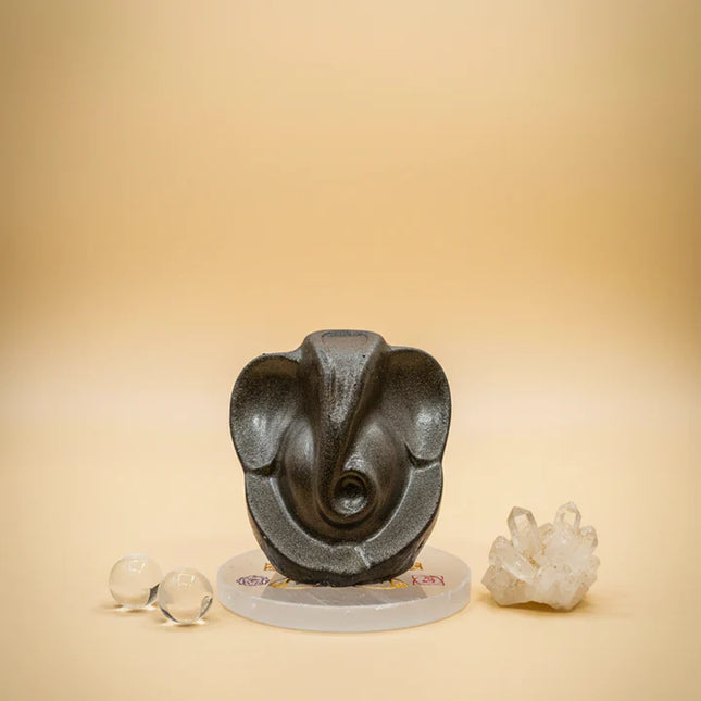 Divine Wealth and Blessings Combo