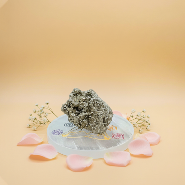 Dhan Laxmi Pyrite Plate Combo