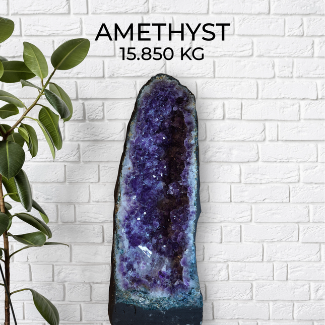 💜 Amethyst Geode – 15.85 kg