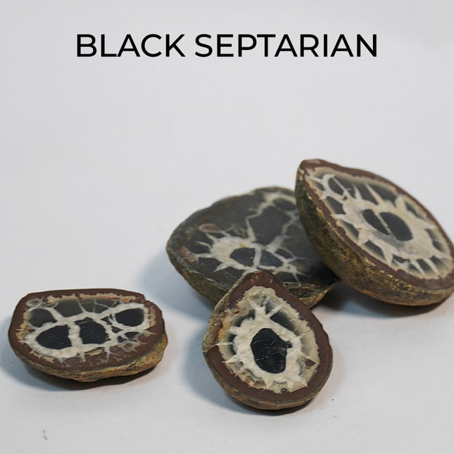 🖤 Black Septarian Nodule – Earth & Fire Fossil Stone