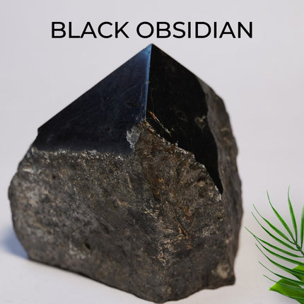 Black Obsidian Raw Points