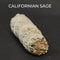 Californian Sage