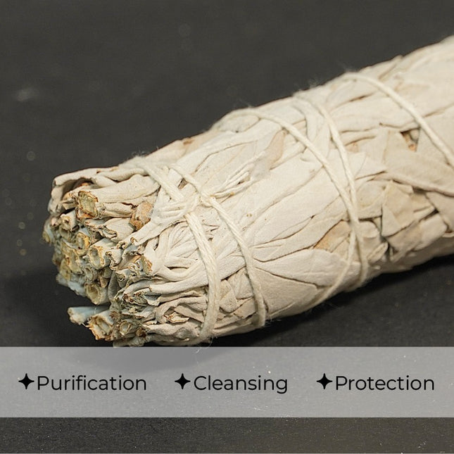 Premium Californian White Sage Smudge Stick – Sustainably Harvested
