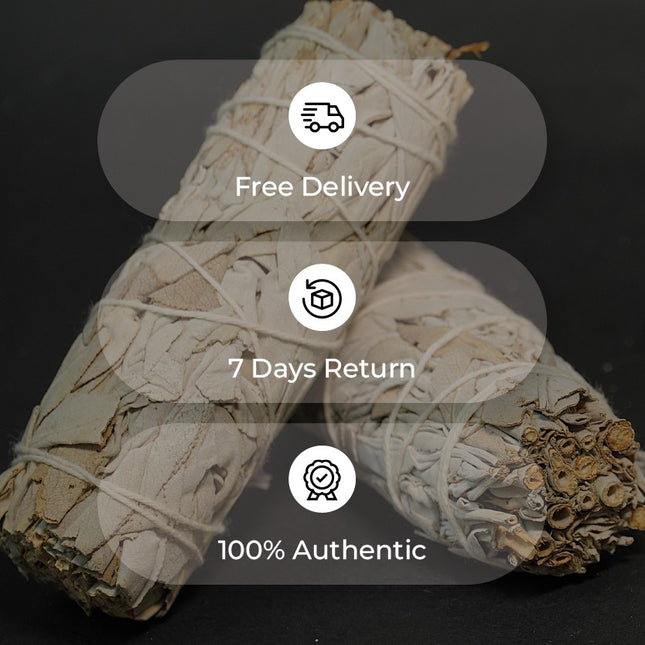Premium Californian White Sage Smudge Stick – Sustainably Harvested