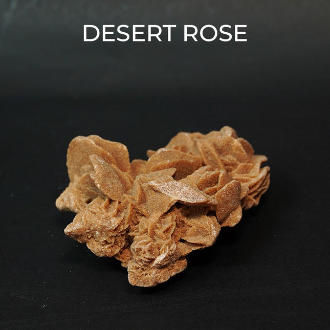 🏜️ Desert Rose