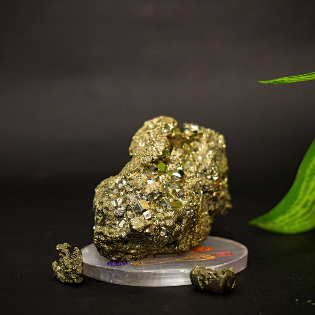 Dhan Laxmi Pyrite Plate Combo