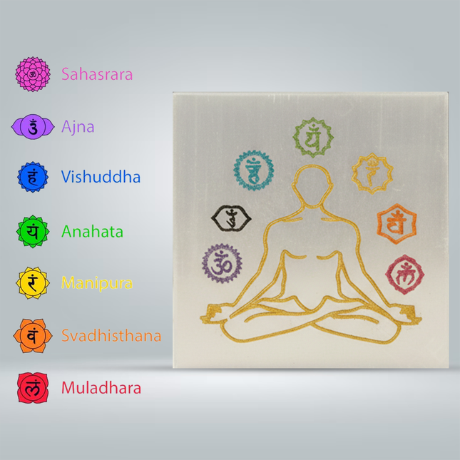 Pyrite Gomtichakra Pyramid With Super Charger Plate Combo