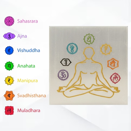 Dhan Laxmi Pyramid With Charging Plate Combo