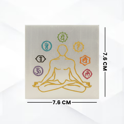 Dhan Laxmi Pyramid With Charging Plate Combo