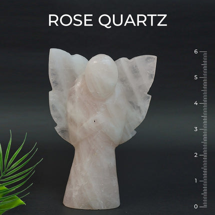 Rose Quartz 6 inch Angel – Divine Love, Emotional Healing & Heart-Centered Energy- 585Gm