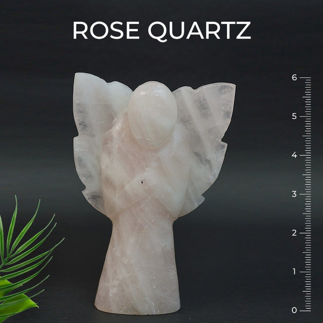 Rose Quartz 6 inch Angel – Divine Love, Emotional Healing & Heart-Centered Energy- 585Gm