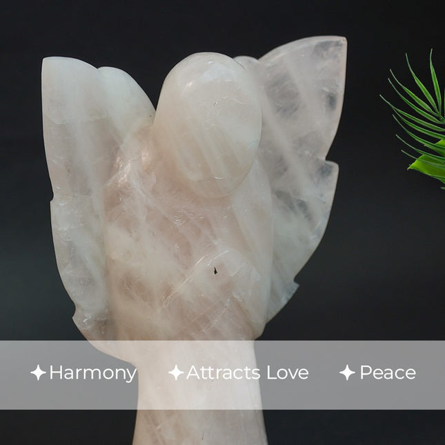 Rose Quartz 6 inch Angel – Divine Love, Emotional Healing & Heart-Centered Energy- 585Gm