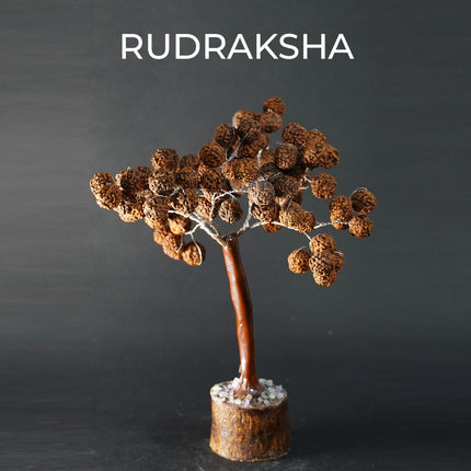 Collection image for: RUDRAKSH