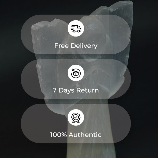 Selenite 6 inch Angel – Divine Light, Cleansing Energy & Higher Guidance