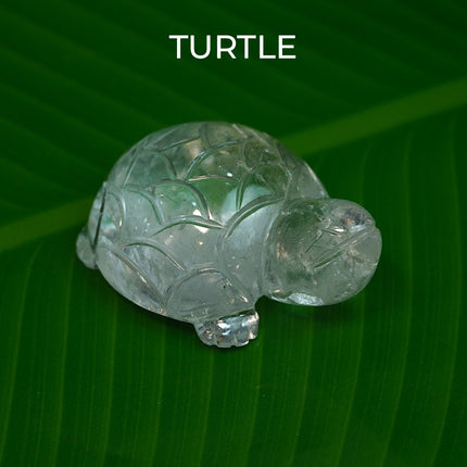 Exclusive Clear Quartz (Sphatik) Turtle Figurine
