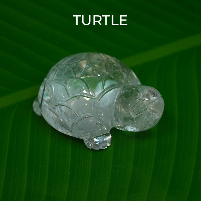 Exclusive Clear Quartz (Sphatik) Turtle Figurine