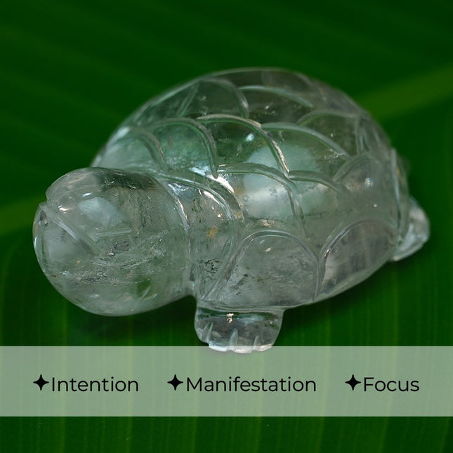 Exclusive Clear Quartz (Sphatik) Turtle Figurine