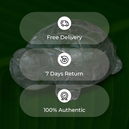 Exclusive Clear Quartz (Sphatik) Turtle Figurine