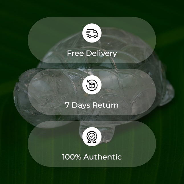Exclusive Clear Quartz (Sphatik) Turtle Figurine